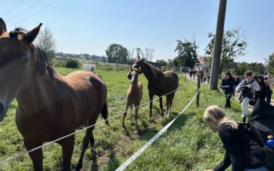 Wandertag der Klassen 5 und 6 nach Sandsbach