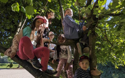 Wandertag bei sommerlichem Wetter – Klassen 2a, 2b, 2c