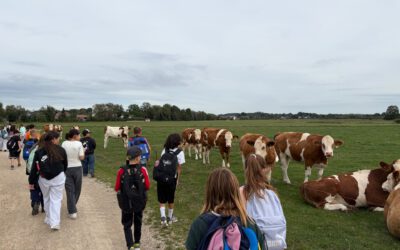 Wandertag der Klassen 5 und 6 nach Sandsbach