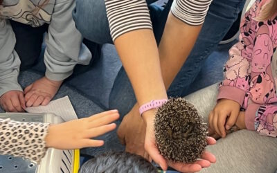 Igel – „Mama“ zu besuch in der Grundschule
